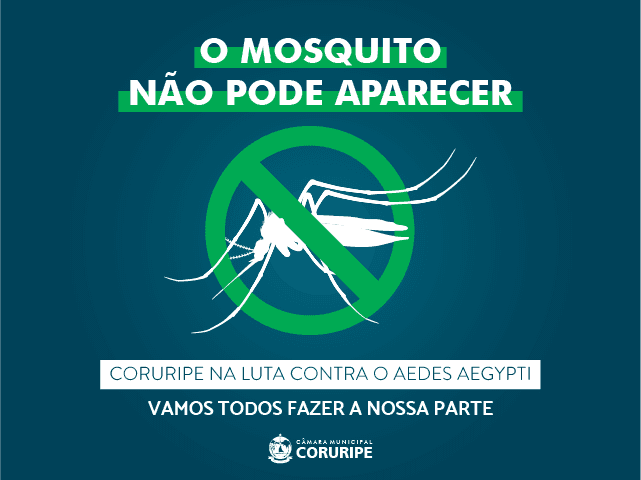 Imagem da notícia: Câmara reforça que Combate ao Aedes aegypti começa com a prevenção a focos do mosquito
